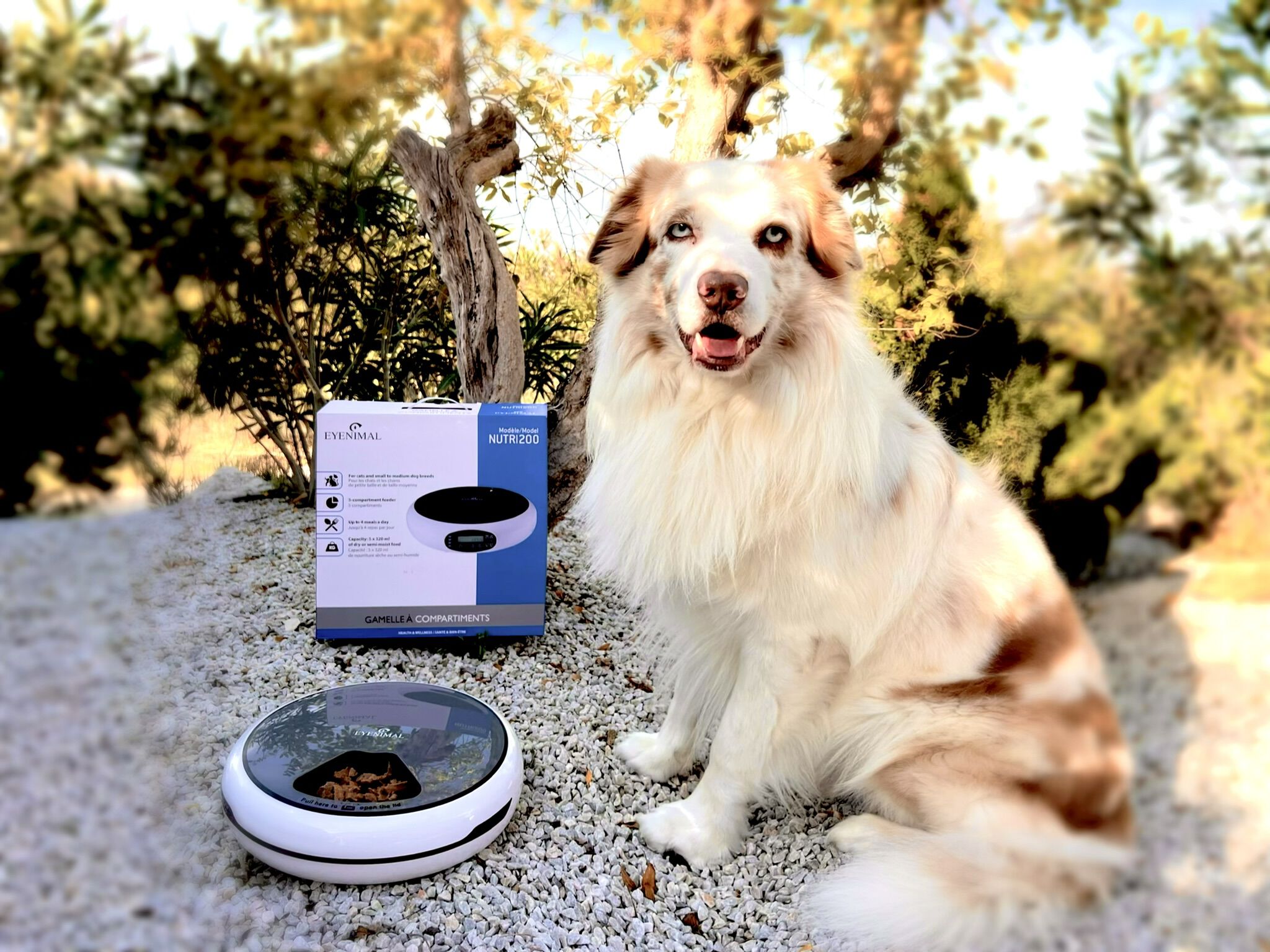 EYENIMAL NUTRI200, , large Imagen numero 5