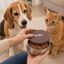Leeby Tapa Comedero Marr&oacute;n para perros y gatos, , large indicador imagen numero 1