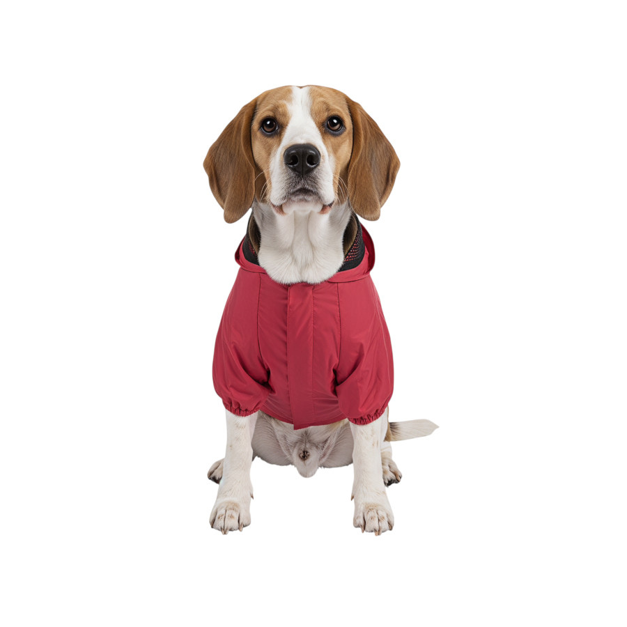 Gotoo Abrigo Impermeable Reflectante Rojo para perros, , large Imagen numero 7