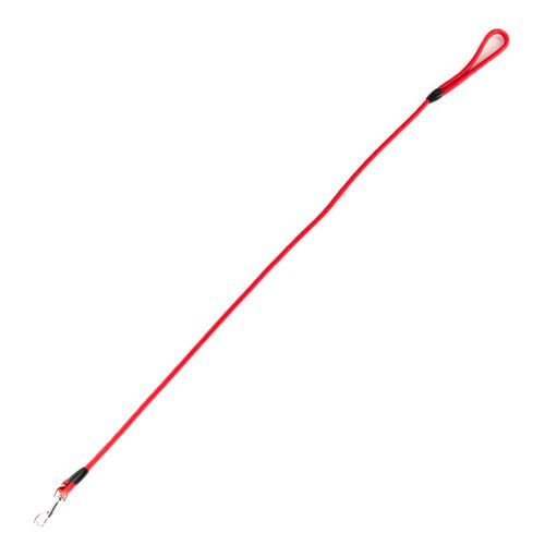 TK-Pet Ronda correa fina para perros roja Imagen numero 1