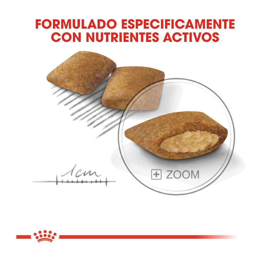 Royal Canin Exigent Mini pienso para perros thumbnail