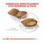 Royal Canin Exigent Mini pienso para perros, , large indicador imagen numero 4