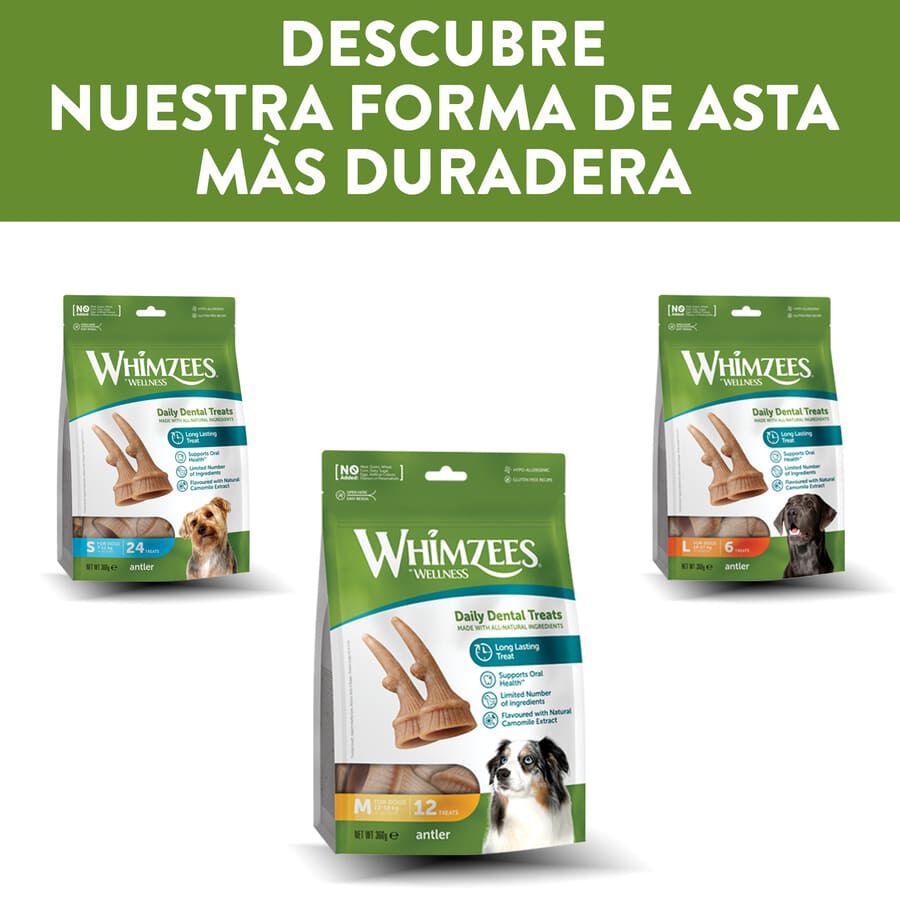 Whimzees Snacks Dentales Astas para perros pequeños thumbnail