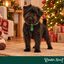 Wonder Christmas Colgante Collar &Aacute;rbol Navidad para perros, , large indicador imagen numero 2