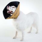 Collar médico para mascotas color Beige, , large image number null