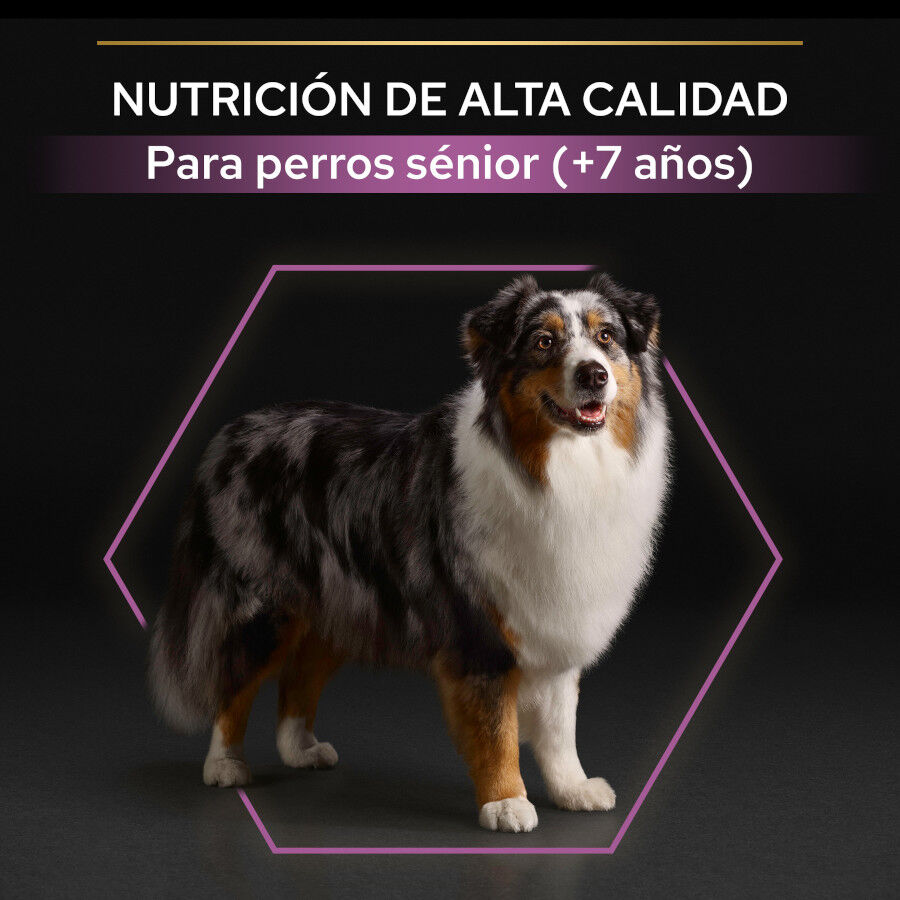 Pro Plan Adult Medium y Large Pollo pienso para perros Sénior +7 thumbnail