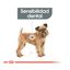 Royal Canin Dental Care Mini  pienso para perros, , large indicador imagen numero 4