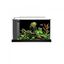 Fluval spec nano acuario color Negro, , large indicador imagen numero 5