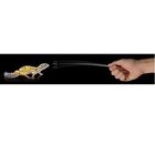 Alimento Gecko Leopardo y Pogona Movebite bolsa sabor Tenebrio, , large image number null
