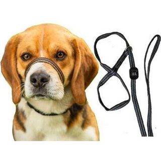 Collar de cabeza todo en uno para perros color Negro/Plata