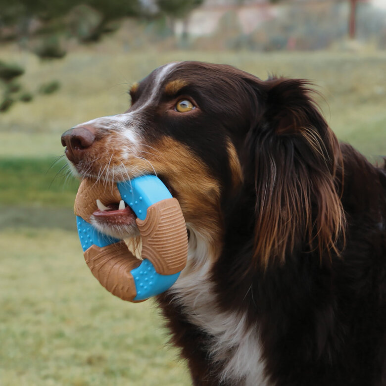 Kong CoreStrength Anillo Mordedor de Bambú para perros, , large image number null