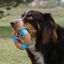 Kong CoreStrength Anillo Mordedor de Bambú para perros, , large indicador imagen numero 2
