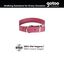 Gotoo Collar Biothane rojo vino para perros, , large indicador imagen numero 4