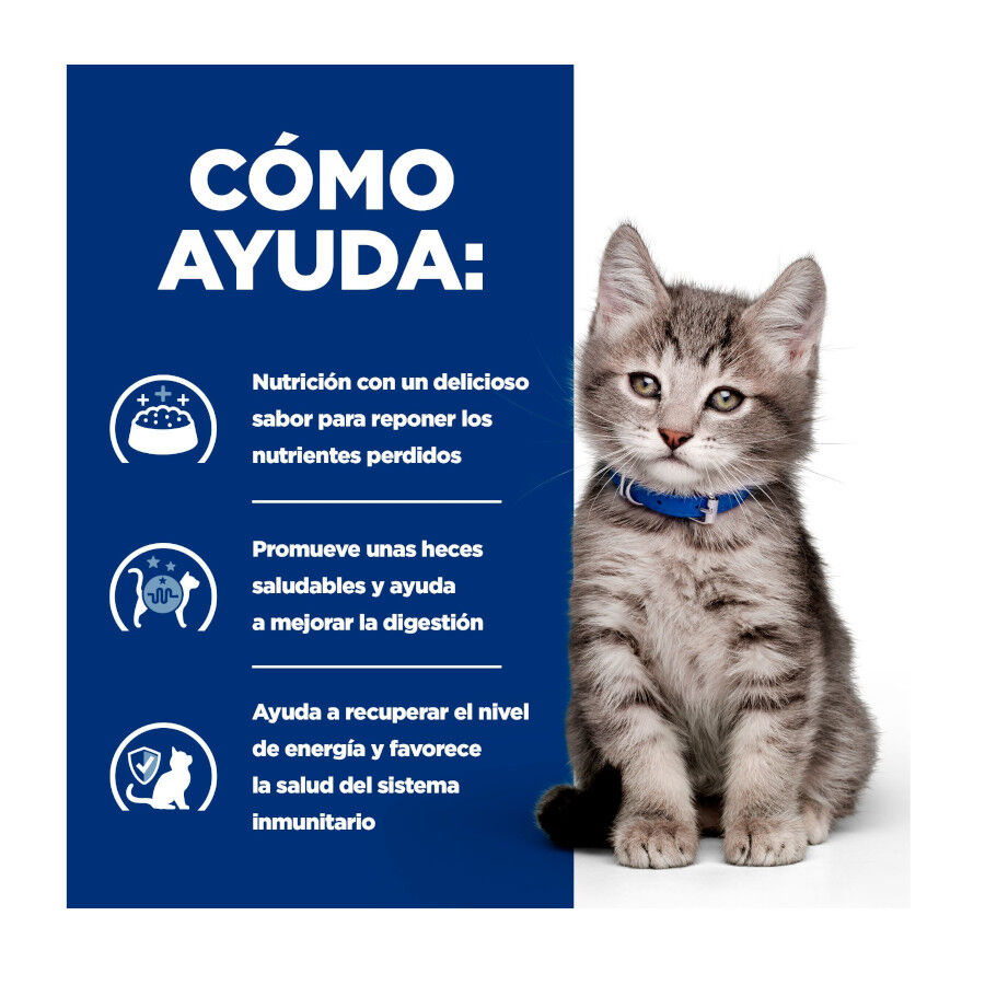 Hill&#039;s Prescription Diet i/d Kitten Digestivo Pienso Pollo para gatos thumbnail