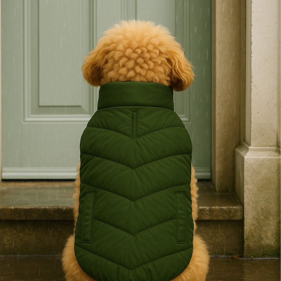 Outech Puffer verde con bolsillos para perros, , large Imagen numero 3
