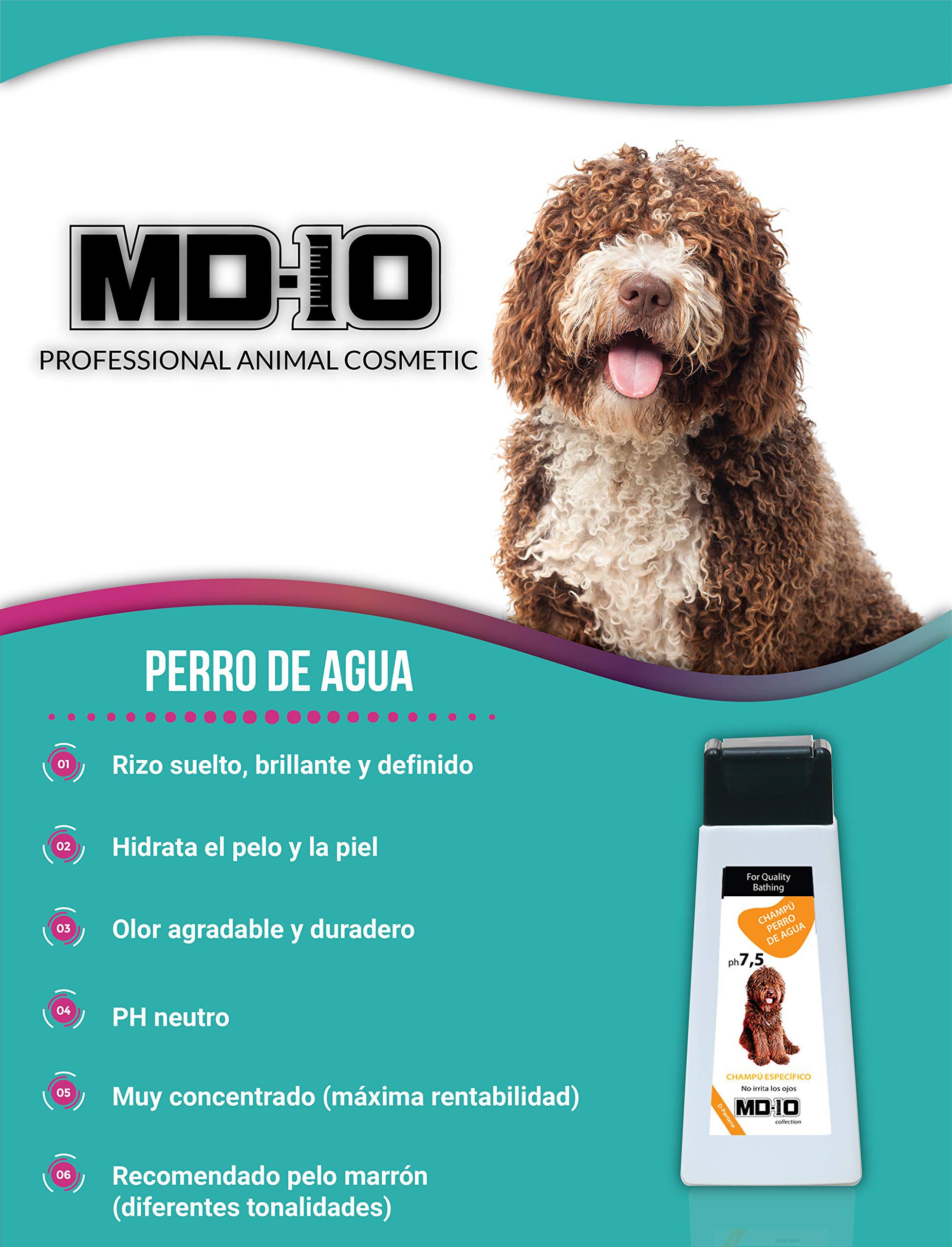 Pack Perros de Agua Pelo Marr&oacute;n - Fabricado Espa&ntilde;a - MD10 COLLECTION, , large Imagen numero 2