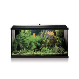 ICA Kit AQUA-LED PRO 100 NEGRO con filtro interior