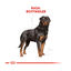 12 kg Royal Canin Adult Rottweiler pienso para perros, , large indicador imagen numero 4