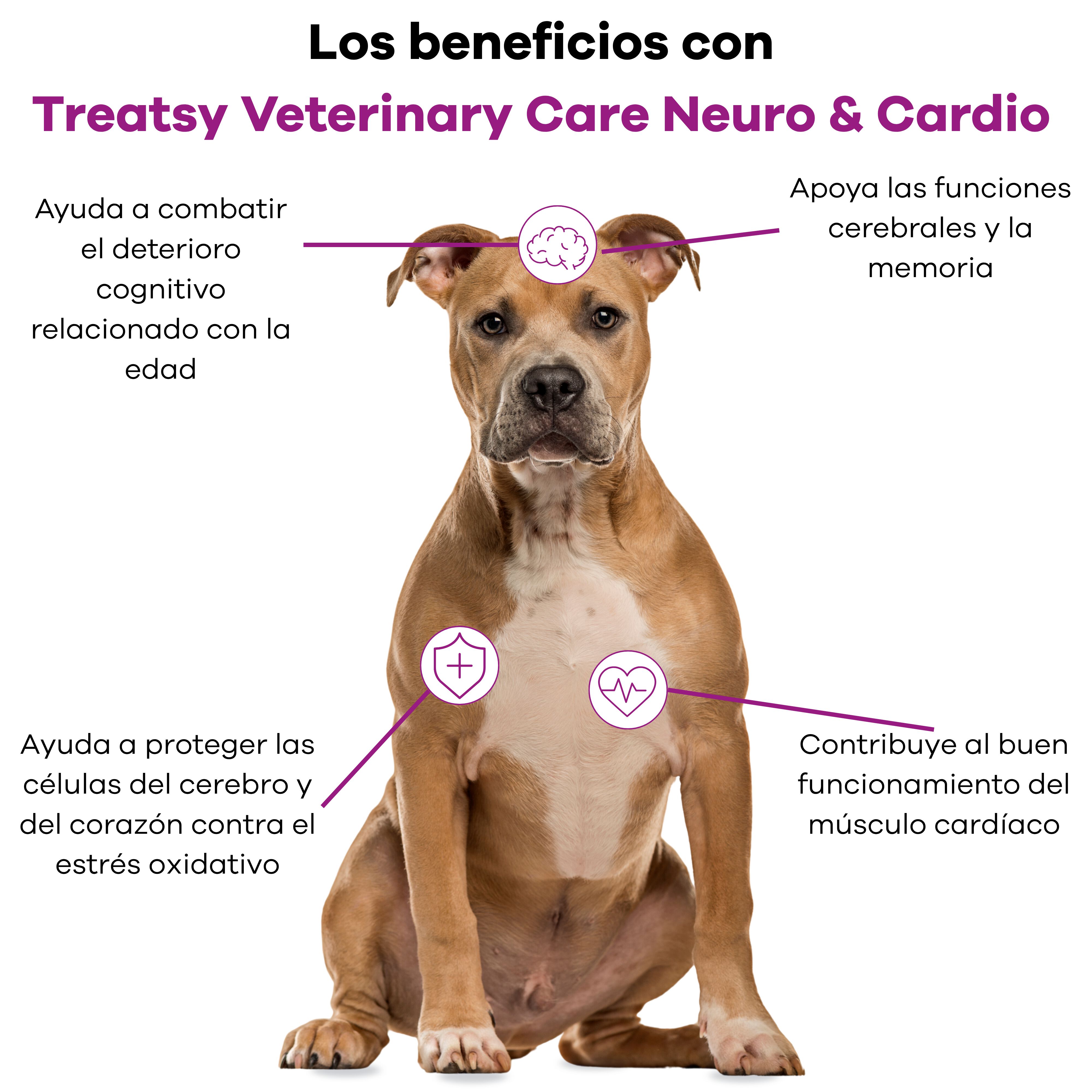 Treatsy Neuro & Cardio Perro y Gato &ndash; Complemento Veterinario Coraz&oacute;n y Cerebro &ndash; Taurina, L-Carnitina, Omega-3 EPA DHA, Vitamina E &ndash; 90 Snacks, , large Imagen numero 3