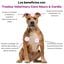 Treatsy Neuro & Cardio Perro y Gato &ndash; Complemento Veterinario Coraz&oacute;n y Cerebro &ndash; Taurina, L-Carnitina, Omega-3 EPA DHA, Vitamina E &ndash; 90 Snacks, , large indicador imagen numero 3
