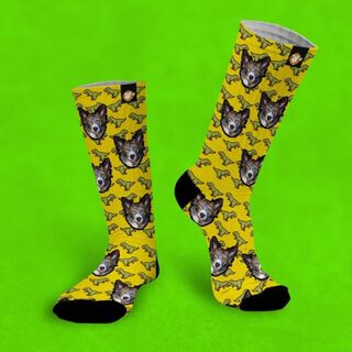 Calcetines personalizados Dino 1 mascota color Amarillo