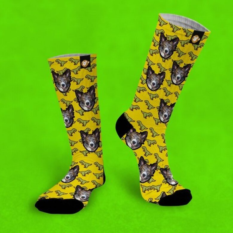 Calcetines personalizados Dino 1 mascota color Amarillo, , large image number null