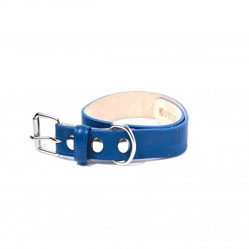 Loyal collar rocco azul para perros, , large Imagen numero 1