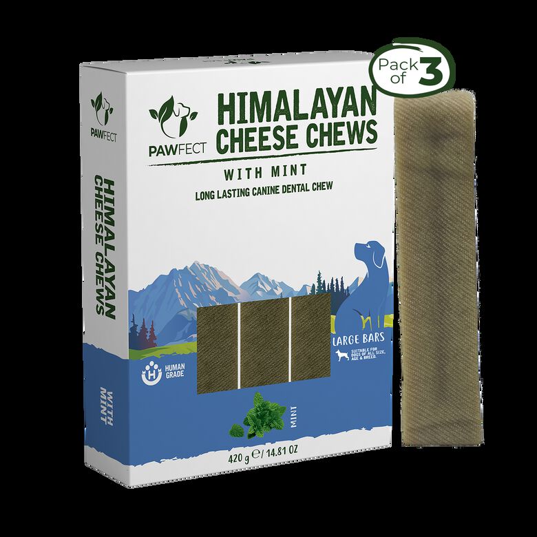 Pawfect Masticables dentales de queso del Himalaya, menta thumbnail