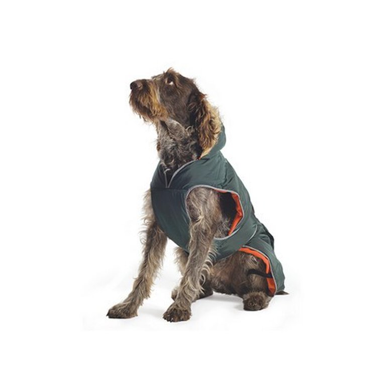 Abrigo de la línea Muddy Paws para perros color Verde, , large image number null