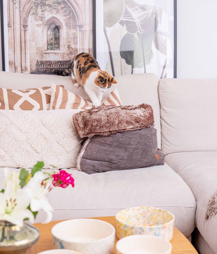 Pet and Co Bolsa De Cama De Cord&oacute;n (Piel Sint&eacute;tica) Arena Snuggle - Perros, , large Imagen numero 3