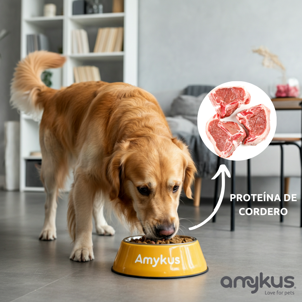 Amykus Original Lamb&Rice, , large Imagen numero 4