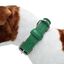 Loyal collar rocco verde para perros, , large indicador imagen numero 2
