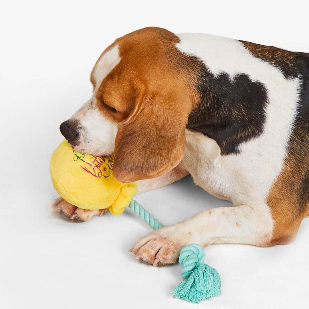 FOFOS | Peluche Globo de Cumplea&ntilde;os (Colecci&oacute;n Happy Birthday) - Para Perro, , large Imagen numero 2