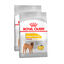 2 x 12 kg Royal Canin Dermacomfort Medium pienso para perros &iexcl;Pack ahorro!, , large indicador imagen numero 1