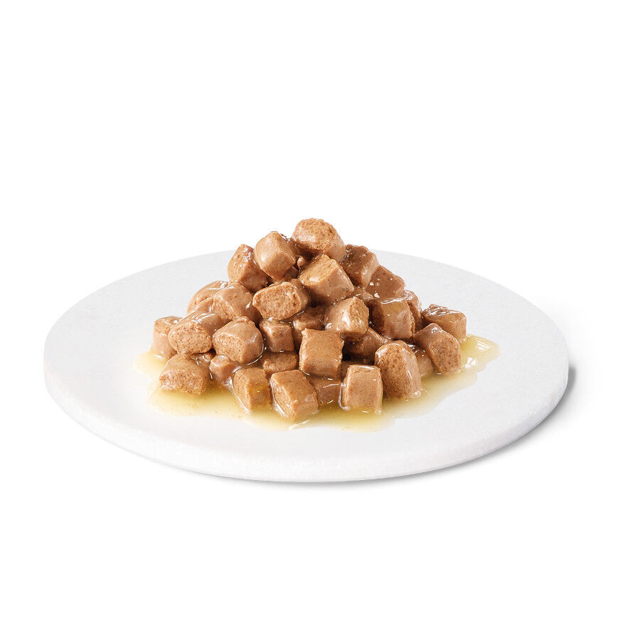 100 g Advance Recovery Sobre para perros y gatos, , large Imagen numero 3