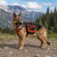 Outech X-perience Arn&eacute;s Multiusos para perros, , large indicador imagen numero 2