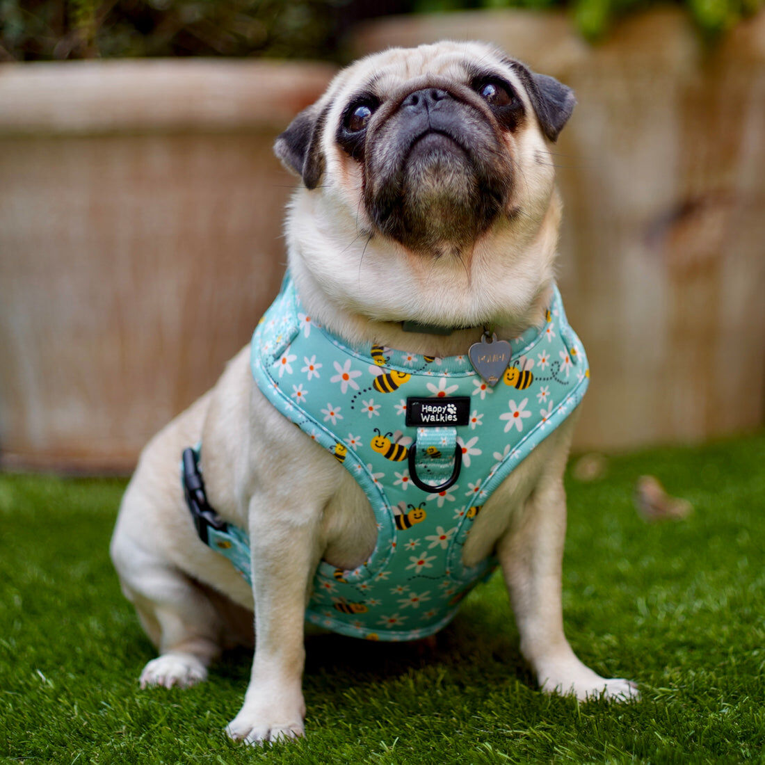 Happy Walkies Bee Happy Arnés ajustable para perros thumbnail