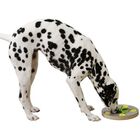 Juguete de inteligencia Switch para perros color Gris y Verde, , large image number null