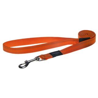 Correa fija para perros color Naranja