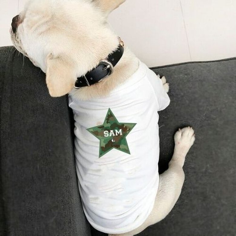 Camiseta estrella para perros personalizable color Blanco, , large image number null