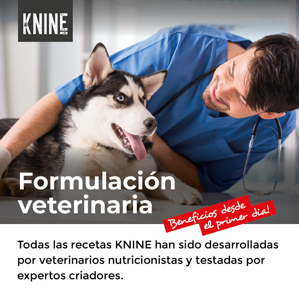Comida para perros KNINE 365 Days, pollo, low grain 14 kg., , large Imagen numero 5