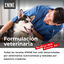 Comida para perros KNINE 365 Days, pollo, low grain 14 kg., , large indicador imagen numero 5