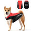 Nobleza Abrigo para Perro Impermeable, Chaquetas Abrigada de Invierno para Perros Mediano Grande, Ropa Reflectante para Perros, Chaleco para Perros Resistente al Viento (Rojo, XXL), , large indicador imagen numero 6