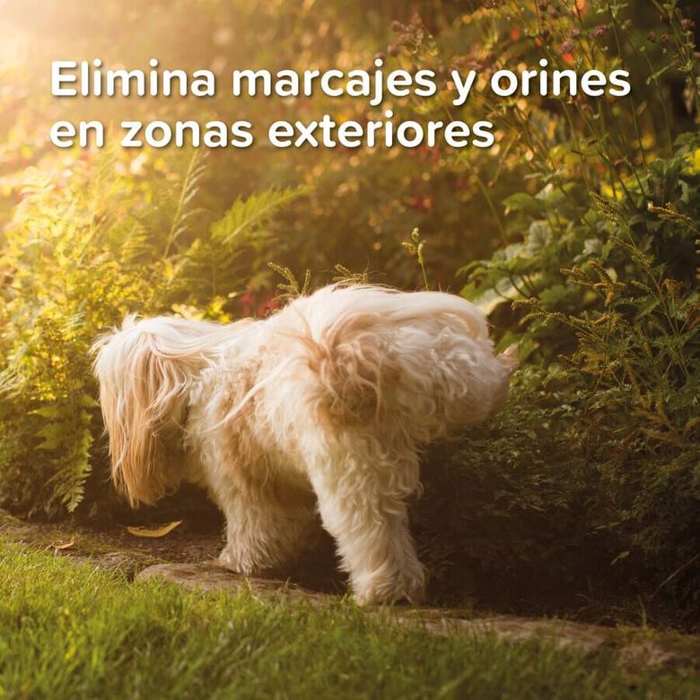 Beaphar Gel Educador para Exterior para perros y gatos thumbnail