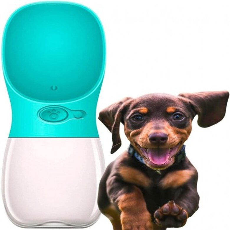 Edipets bebedero portátil libre BPA turquesa para perros pequeños, , large image number null