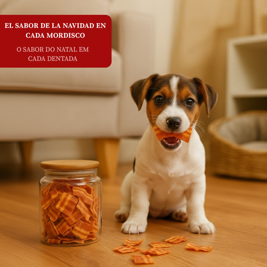 80 g Wonder Christmas Snack de Bacon Navide&ntilde;o para perros, , large Imagen numero 4