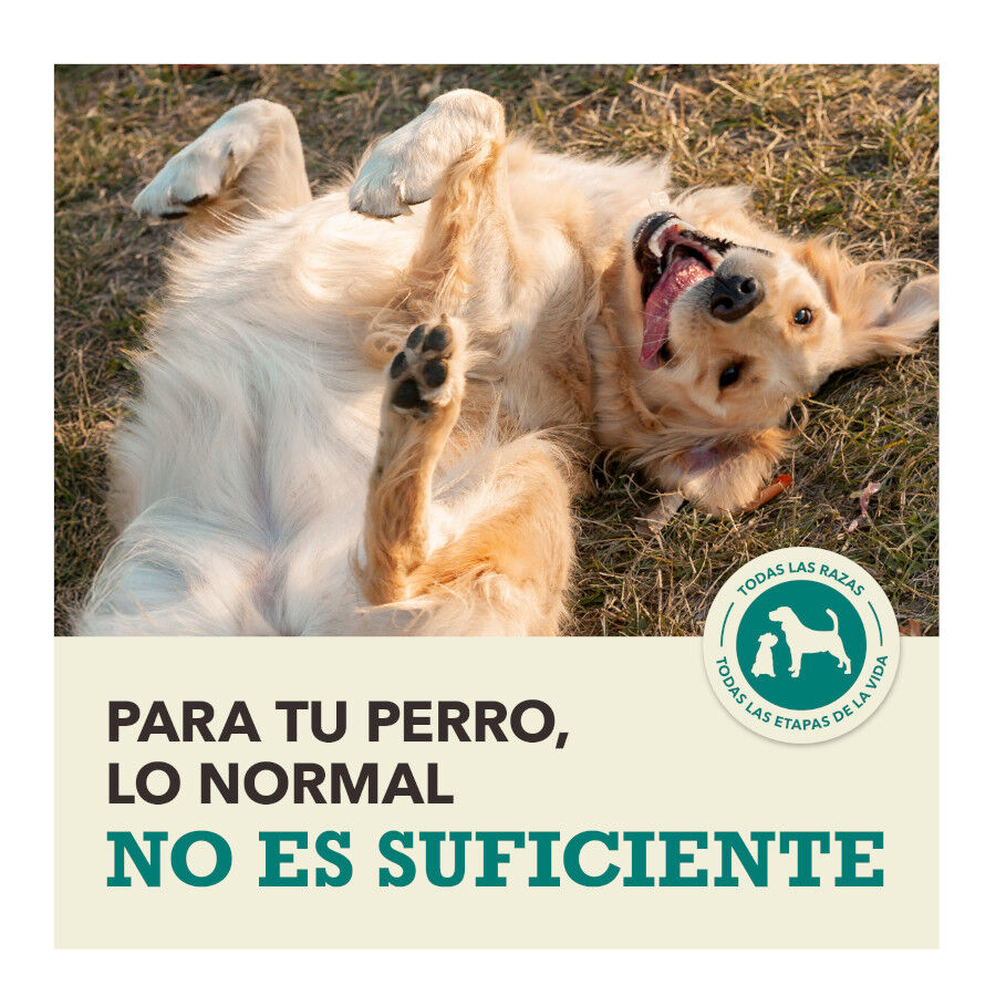6 kg Acana Coldwater Fish pienso para perros, , large Imagen numero 10