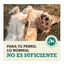6 kg Acana Coldwater Fish pienso para perros, , large indicador imagen numero 10