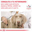 Royal Canin Gastrointestinal High Fibre Paté Lata para perros, , large indicador imagen numero 6