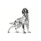 Royal Canin Veterinary Cardiac Lata para perros, , large image number null